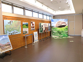 山口観光PR