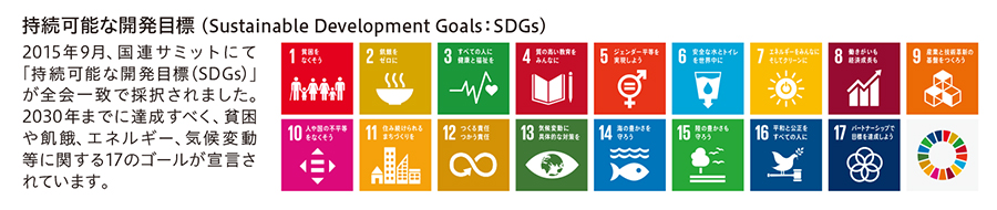 持続可能な開発目標（ Sustainable Development Goals：SDGs）