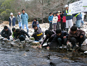 平成25年1月28日 ホタル幼虫を放流する子供たち